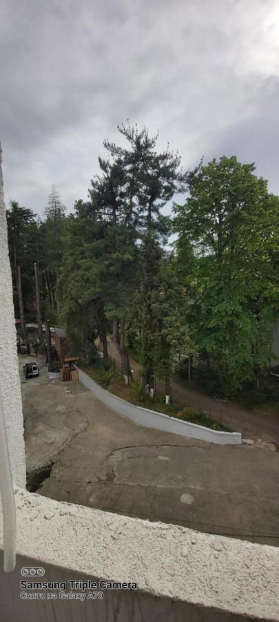 Студия Радуга У Моря Колхида Batumi Ngoại thất bức ảnh